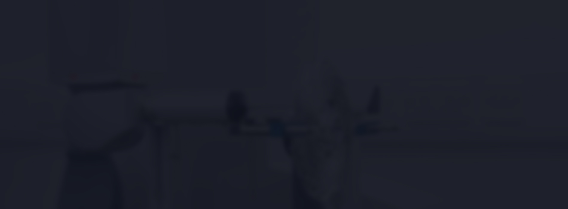 江苏维创散热器制造有限公司（中文）